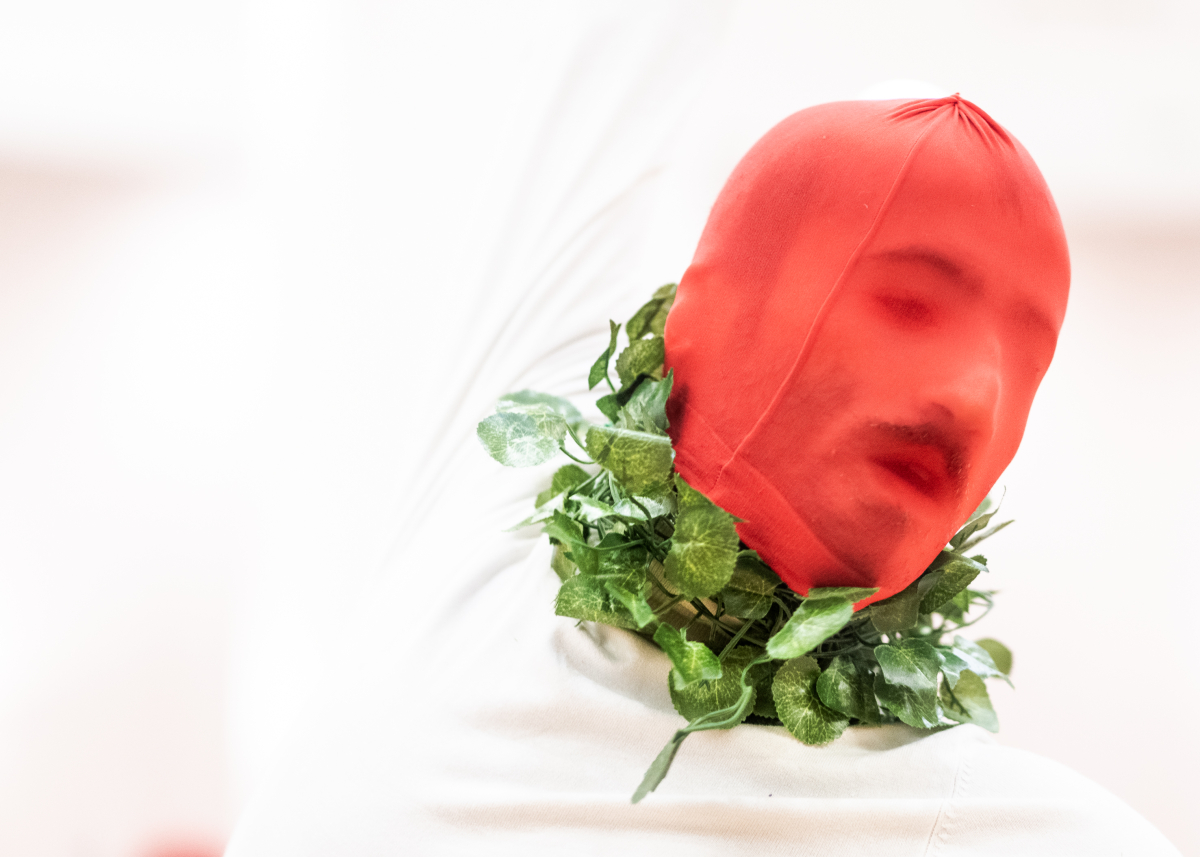 Neve – Paisagens, Máquinas, Animais