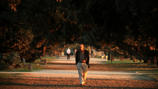 Manuel António Pina: Dois Filmes