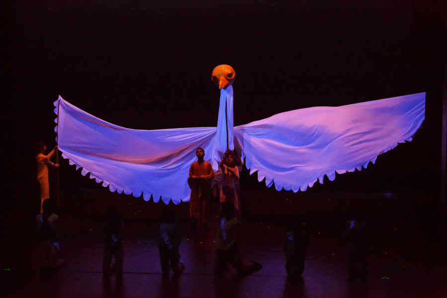 Vicente e Pessoa, visitações