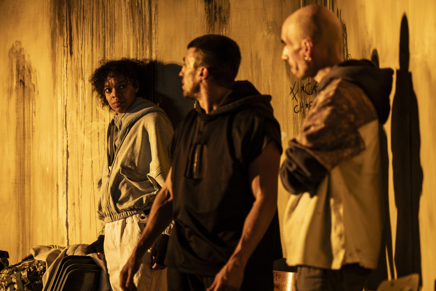 © José Caldeira (ensaio)