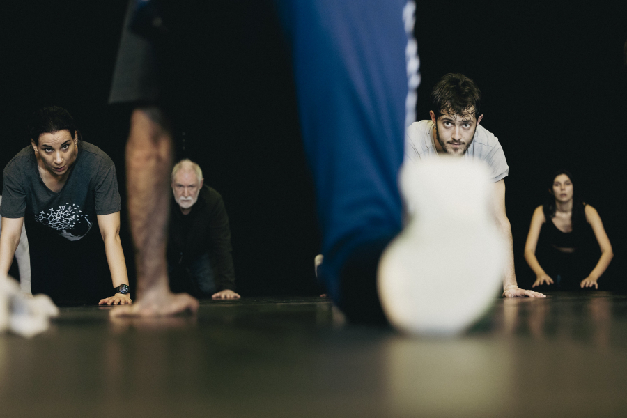 © José Caldeira (ensaio)