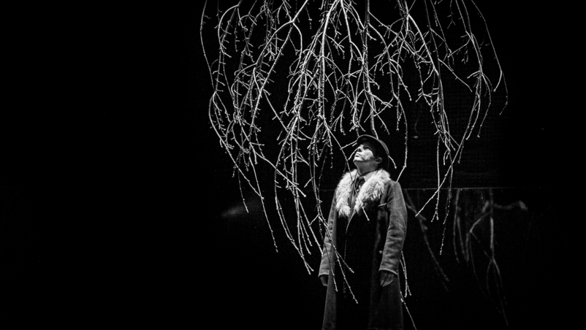 Isto esteve para ser um sítio com um nome